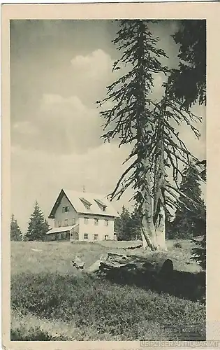 AK Bayr. Wald Waldschmiedhaus am Rachel. ca. 1913, Postkarte. Serien Nr