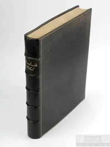 Buch: Rembrandt-Bibel, Bredt, E. W. 1921, Hugo Schmidt Verlag, gebraucht, gut