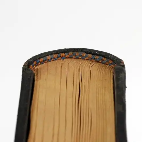 Buch: Rembrandt-Bibel, Bredt, E. W. 1921, Hugo Schmidt Verlag, gebraucht, gut