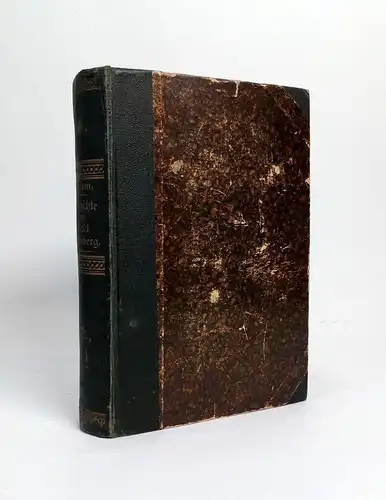 Buch: Geschichte der Stadt Nürnberg, Priem, Joh. Paul. 1875, Verlag Jacob Zeiser