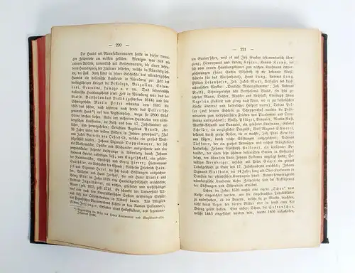 Buch: Geschichte der Stadt Nürnberg, Priem, Joh. Paul. 1875, Verlag Jacob Zeiser