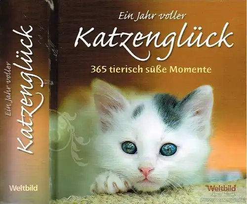 Buch: Ein Jahr voller Katzenglück, Lal Aghighi, Gisela. 2011, Weltbild Verlag