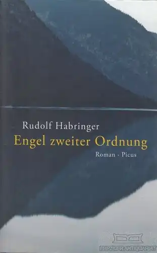 Buch: Engel zweiter Ordnung, Habringer, Rudolf. 2011, Picus Verlag, Roman