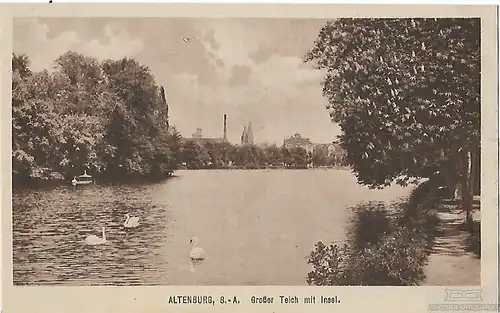 AK Altenburg S.-A. Großer Teich mit Insel. ca. 1912, Postkarte. Serien Nr