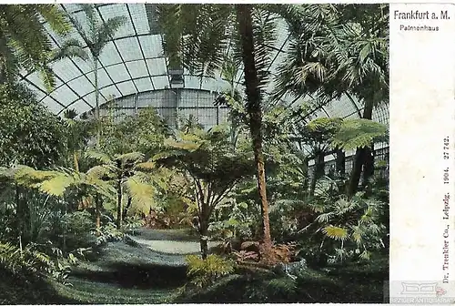 AK Frankfurt a. M. Palmenhaus. ca. 1904, Postkarte. Serien Nr, ca. 1904