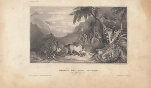 Gegend bey Fort Dauphin in Madagascar. aus Meyers Universum, Stahlstich. 1850