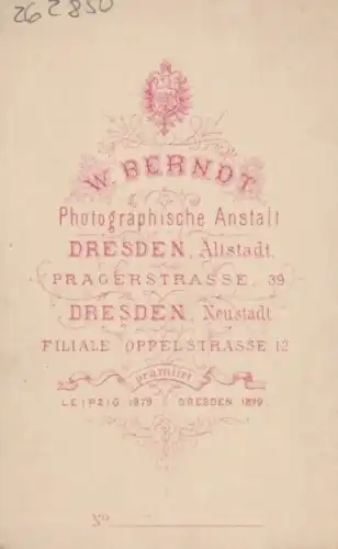 Portrait Frau mit Ohrschmuck und Spitzenkragen, Fotografie. Fotobild, ca. 1879