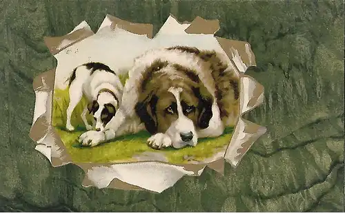 AK Bernhardiner mit Jack Russel Terrier, ca. 1906, gebraucht, gut
