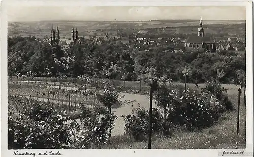 AK Naumburg an der Saale ca. 1936, Postkarte. Serien Nr, ca. 1936