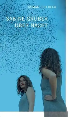 Buch: Über Nacht, Gruber, Sabine, 2007, Beck, Roman, gebraucht, gut