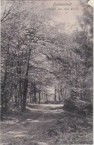 AK Barmstedt. Partie aus dem Walde. ca. 1910, Postkarte. Ca. 1910