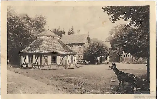 AK Försterei Sternhaus im Harz. ca. 1915, Postkarte. Ca. 1915, gebraucht, gut