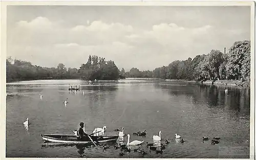 AK Insel Gaststätte. Altenburg. ca. 1913, Postkarte. Ca. 1913, gebraucht, gut