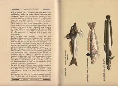Buch: Spezial-Seefisch-Kochbuch, Braune, Clara / Hollmeyer, H. 1910