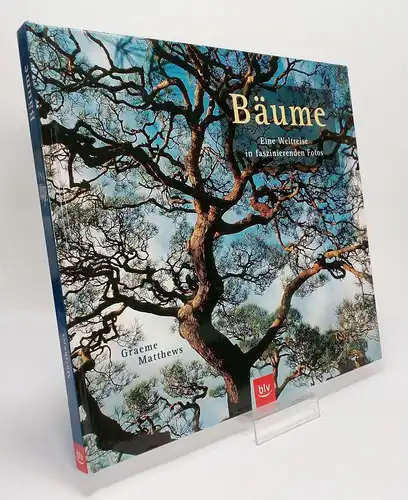 Buch: Bäume, Eine Weltreise in faszinierenden Fotos. Matthews, Graeme, 2003, BLV