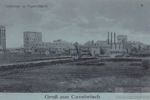 AK Gruß aus Cavelwisch. Cellulose- u. Papierfabrik. ca. 1912, Postkarte