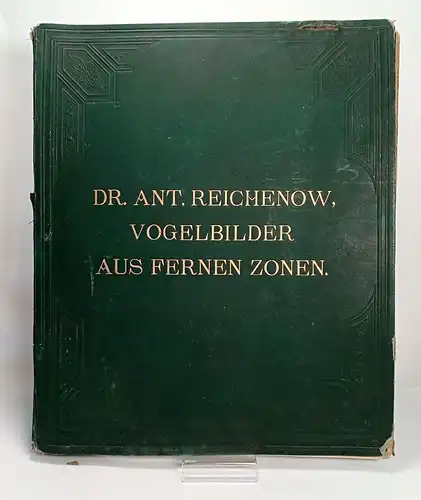 Buch: Vogelbilder aus fernen Zonen - Papageien. Reichenow, A., 1878, Th. Fischer
