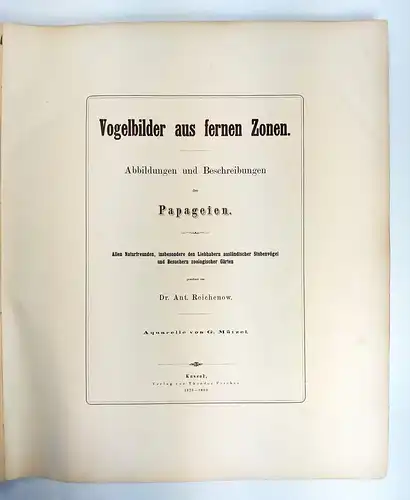 Buch: Vogelbilder aus fernen Zonen - Papageien. Reichenow, A., 1878, Th. Fischer