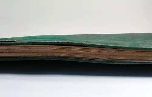 Buch: Vogelbilder aus fernen Zonen - Papageien. Reichenow, A., 1878, Th. Fischer