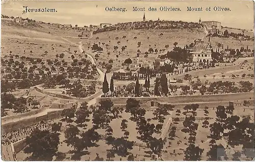 AK Jerusalem. Oelberg. ca. 1908, Postkarte. Serien Nr, ca. 1908, gebraucht, gut