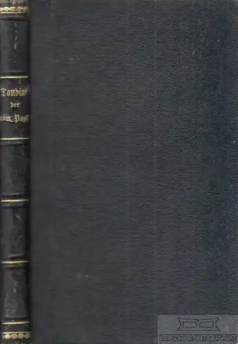 Buch: Der römische Papst, Tondini, Cäsarius. 1877, Verlag Franz Kirchheim