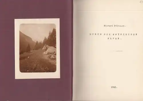 Buch: Durch die Bayrischen Alpen, Pfitzner, Richard. 1923, gebraucht, gut