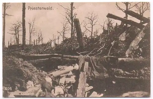 AK Priesterwald. Postkarte, Verlag Julius Berger, gebraucht, gut