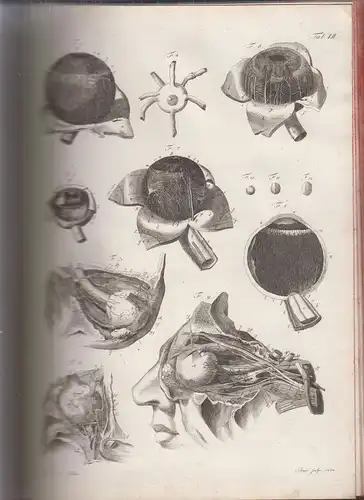 Buch: Joh. Ad. Kulmus anatomische Tabellen f. Lehrlinge d. Anatomie, Kulmus/Kühn