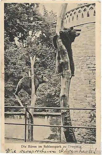 AK Die Bären im Schlosspark zu Droyssig. ca. 1923, Postkarte. Serien Nr