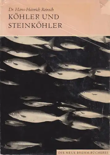 Buch: Köhler und Steinköhler. Reinsch, H. H., 1976, A. Ziemsen, Brehm Bücherei