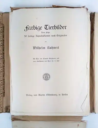 Buch: Farbige Tierbilder - Neue Folge, Kuhnert, Wilhelm / Graßmann, Oswald