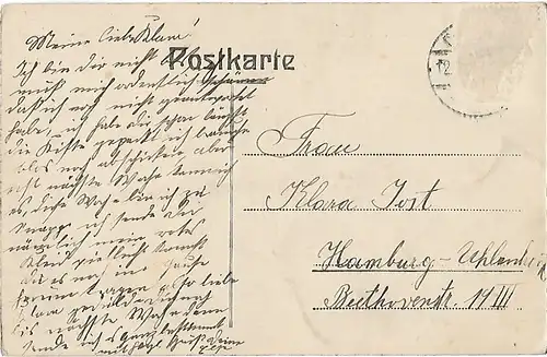 AK Altenburg. Partie am grossen Teich m. der Insel. ca. 1912, Postkarte