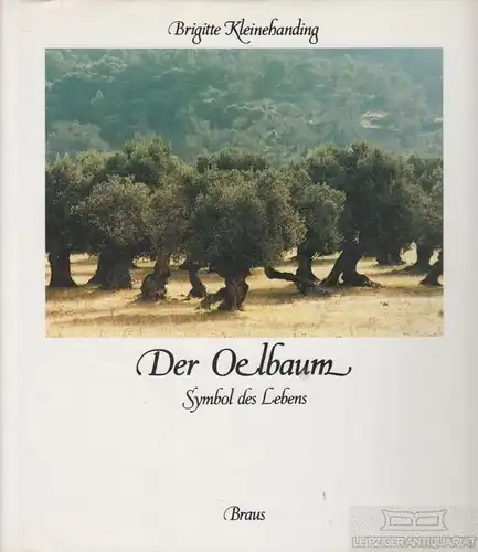 Buch: Der Oelbaum, Kleinehanding, Brigitte. 1987, Braus Verlag, gebraucht, gut