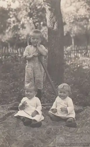 AK Drei Kinder im Garten (Geschwister), Postkarte. Fotokarte, gebraucht, gut