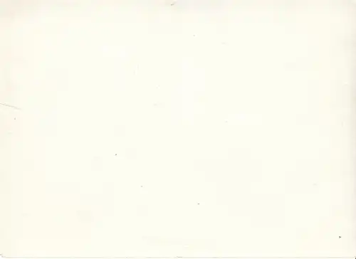 Gruppenfoto Entlassung - Wolfen 30.04.81, Fotografie. Fotobild, 1981