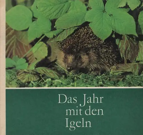 Buch: Das Jahr mit den Igeln, Stöcker, Friedrich W. 1981, Rudolf Arnold Verlag