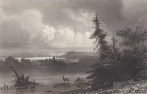 Itasca Lake (Quelle des Mississippi). aus Meyers Universum, Stahlstich. 1850