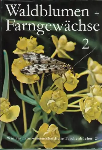 Buch: Wildblumen und Farngewächse, Rühl, Arthur. 1977, Gebrüder Borntraeger