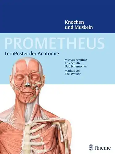 Poster: PROMETHEUS LernPoster der Anatomie, Knochen und Muskeln, 2014, Thieme