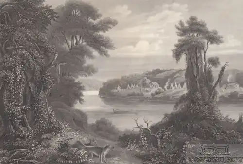 Mouth of the St. Croix River (Minnesota). aus Meyers Universum, Stahlstich. 1850