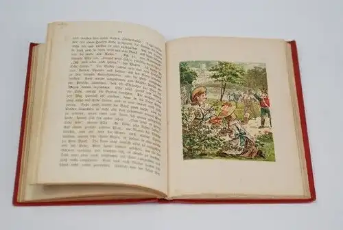 Buch: Was der Weihnachtsmann erzählt, Fürst, Elise. 1894, Mit 6 Bildern