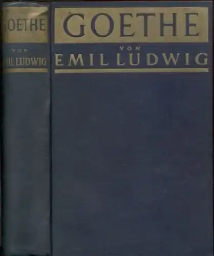 Buch: Goethe, Ludwig, Emil. 1931, Paul Zsolnay Verlag, Geschichte eines Menschen