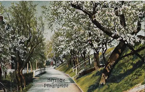 AK Herzliche Pfingstgrüße. ca. 1911, Postkarte. Pfingsten, gebraucht, gut