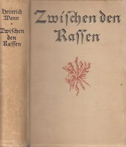 Buch: Zwischen den Rassen, Mann, Heinrich. 1916, Kurt Wolff Verlag, Ein Roman