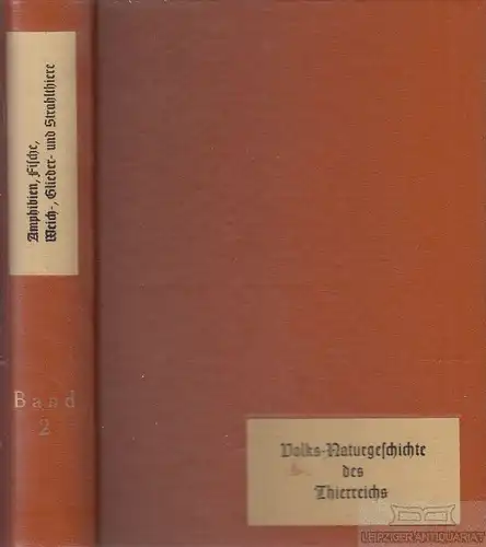 Buch: Neueste Volks-Naturgeschichte des Thierreichs für Schule... Reichenbach