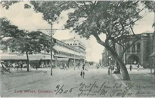 AK York Street. Colombo. ca. 1905, Postkarte. Ca. 1905, Verlag Plate & Co