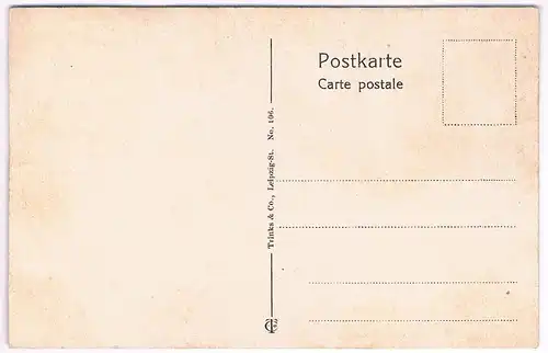 AK Leipzig. Palmengarten. Postkarte, Verlag Trinks & Co., gebraucht, gut, Nr 106