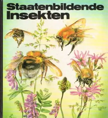 Buch: Staatenbildende Insekten, Spillner, Wolf. 1981, Kinderbuchverlag