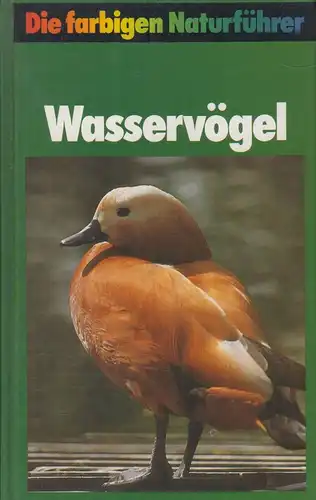 Buch: Wasservögel, Sauer, Frieder, 1982, Bertelsmann Verlag, gebraucht, gut