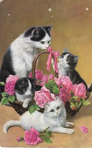 AK Jungkatzen im Korb mit Rosen, ca. 1977, gebraucht, gut